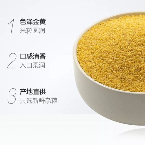 19.9元限時預售！前1000份搶400g*3袋“谷物軟黃金”，產(chǎn)地新鮮直供