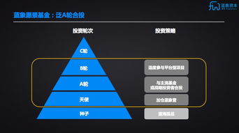 藍(lán)象資本聯(lián)合芥末堆成立藍(lán)象愿景基金，聚焦A輪實業(yè)投資