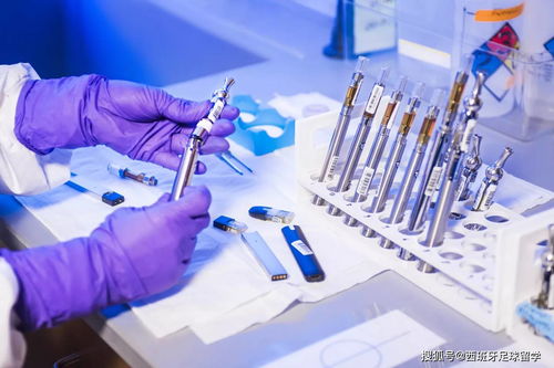 西班牙留學頂尖專業解析 電子產品研發與銷售